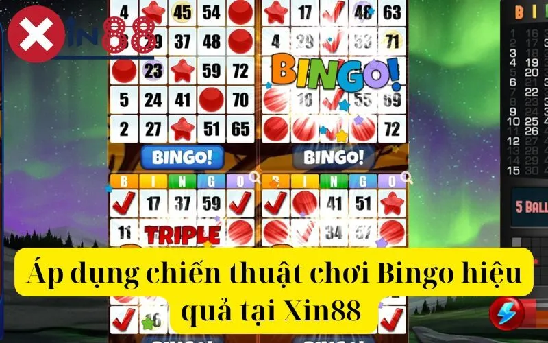 Áp dụng chiến thuật chơi Bingo hiệu quả tại xin88