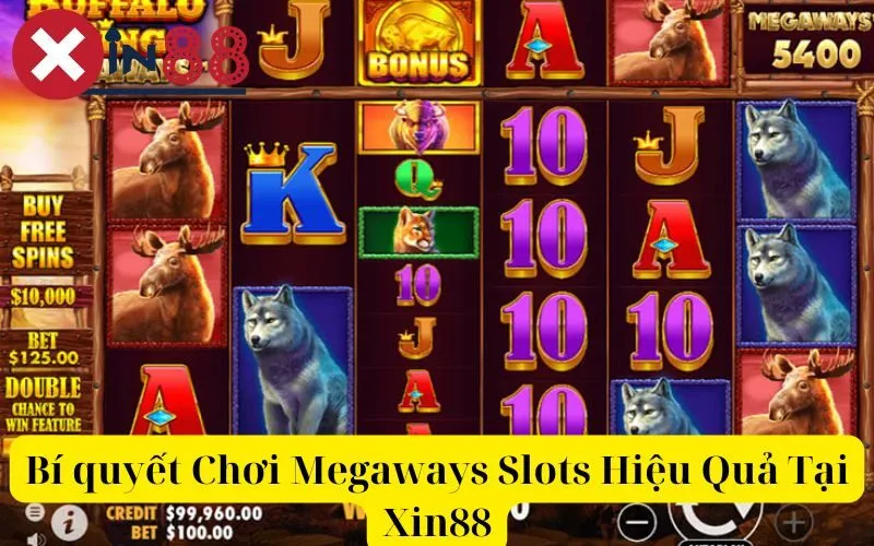 Bí quyết Chơi Megaways Slots Hiệu Quả Tại Xin88