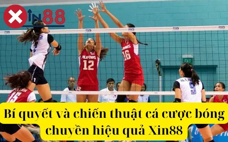 Bí quyết và chiến thuật cá cược bóng chuyền hiệu quả Xin88