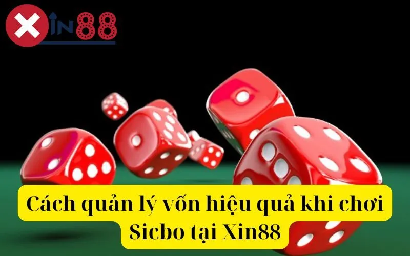 Cách quản lý vốn hiệu quả khi chơi Sicbo tại Xin88