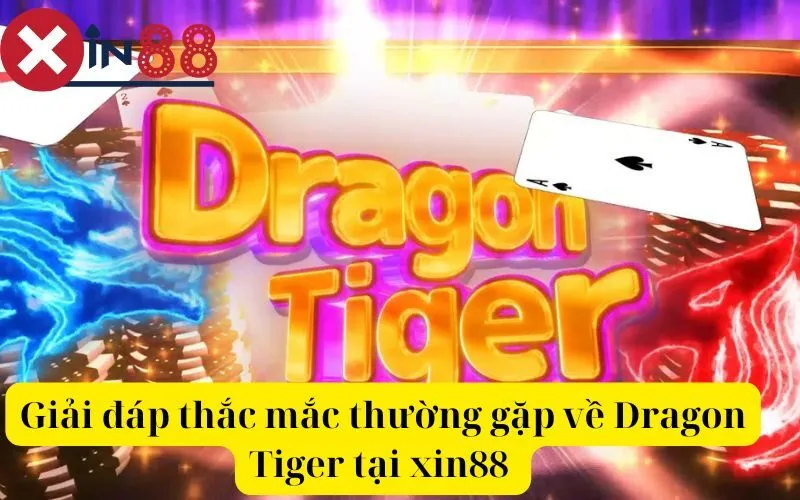 Giải đáp thắc mắc thường gặp về Dragon Tiger tại xin88