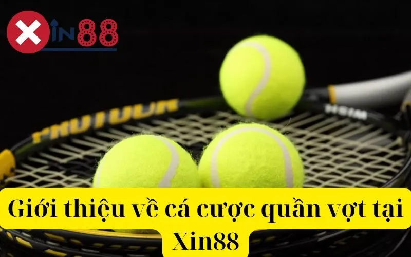 Giới thiệu về cá cược quần vợt tại Xin88