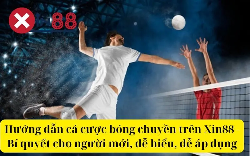 Hướng dẫn cá cược bóng chuyền trên Xin88