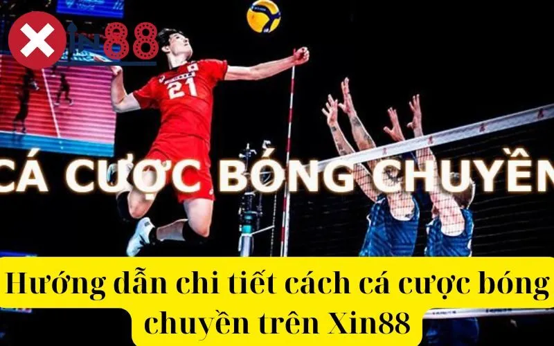 Hướng dẫn chi tiết cách cá cược bóng chuyền trên Xin88