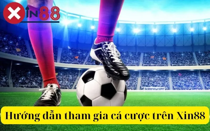 Hướng dẫn tham gia cá cược  Xin88