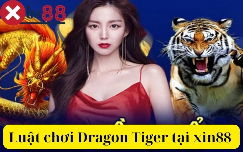 Luật chơi Dragon Tiger tại xin88 